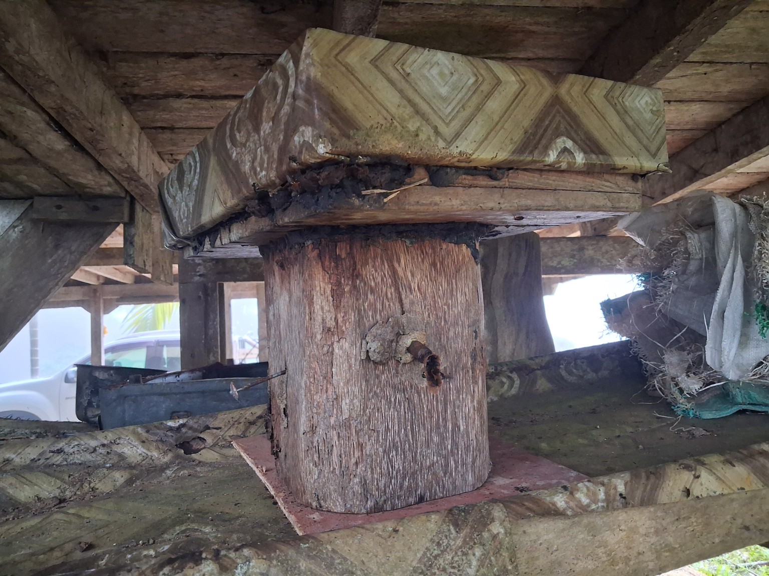 Itama log hive with the old topping box under shelter