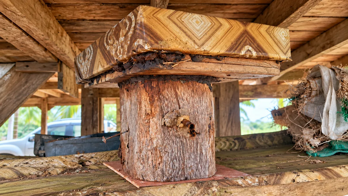 Four Years Without Opening My Itama Hive: Rotten Wood, Termites and a Colony Worth Saving